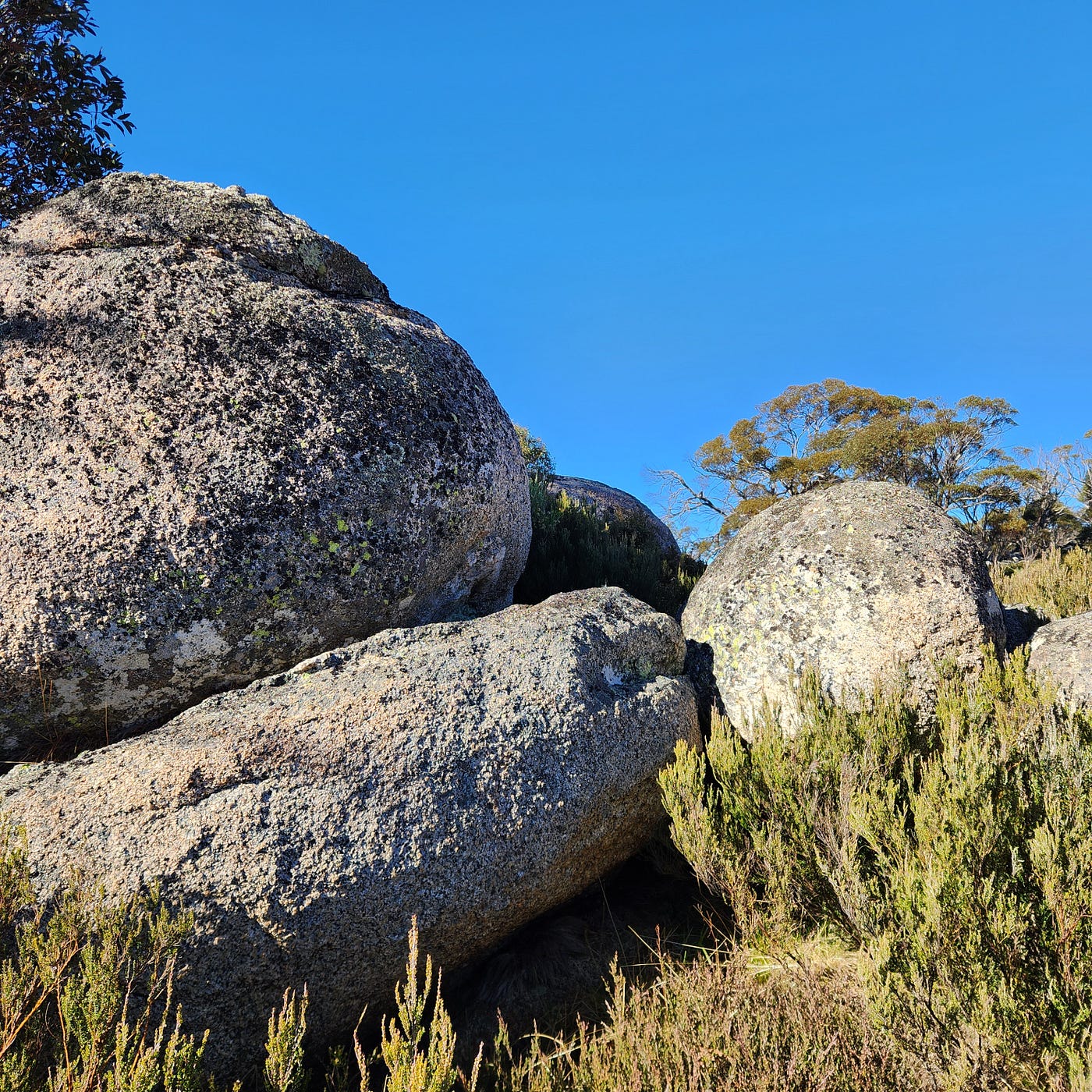 Alpine landscape around Rennix Walk