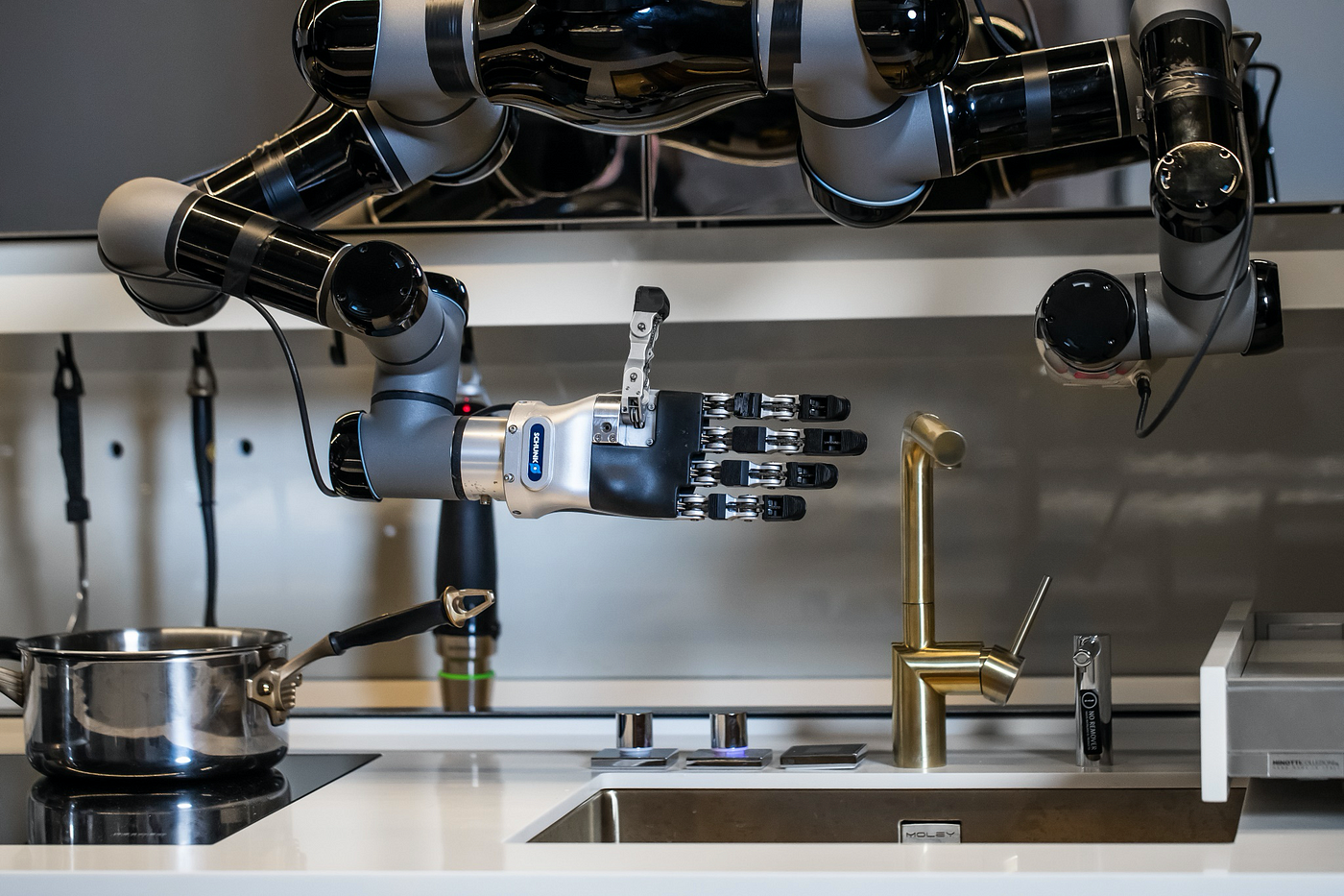 Too Busy to Cook? This Kitchen Robot Will Do It for You