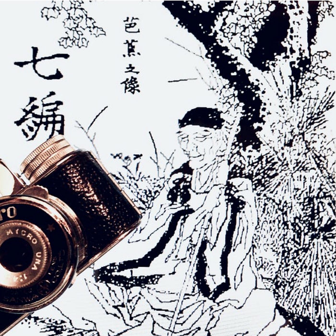 If Basho Owned a Camera