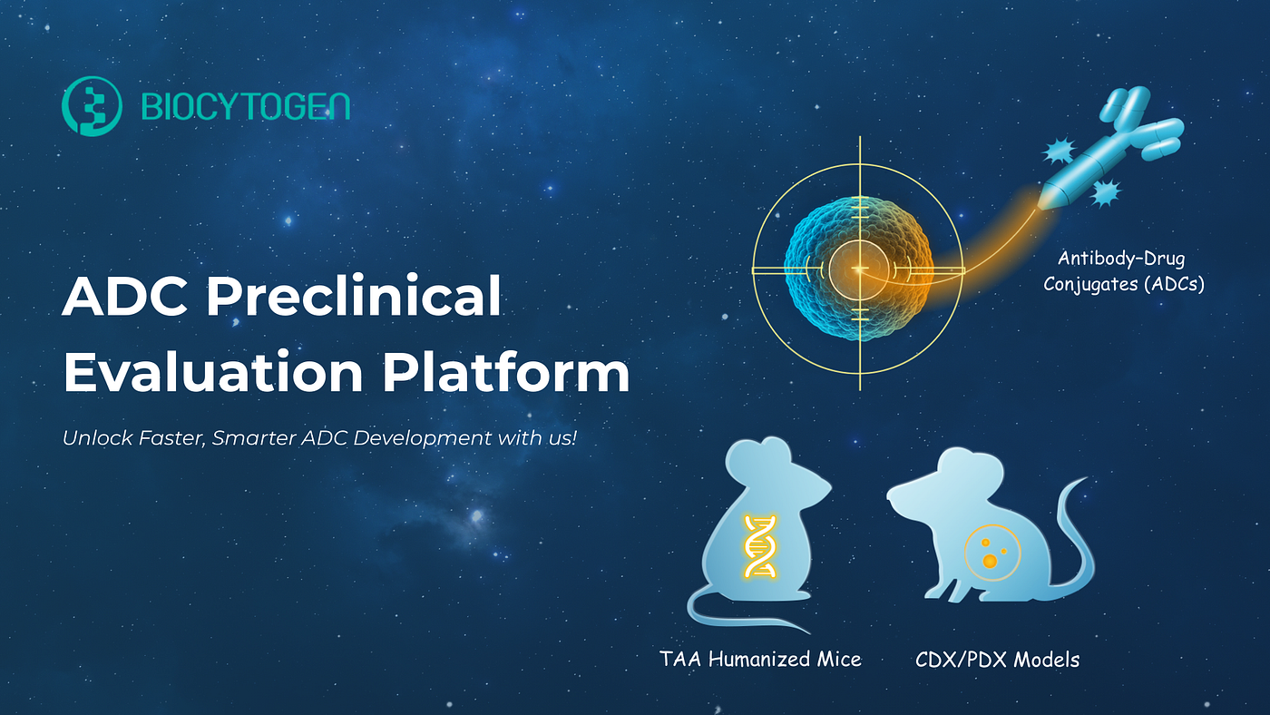 Preclinical Platforms for ADC Success: Humanized Models, CDX/PDX, and Pharmacology