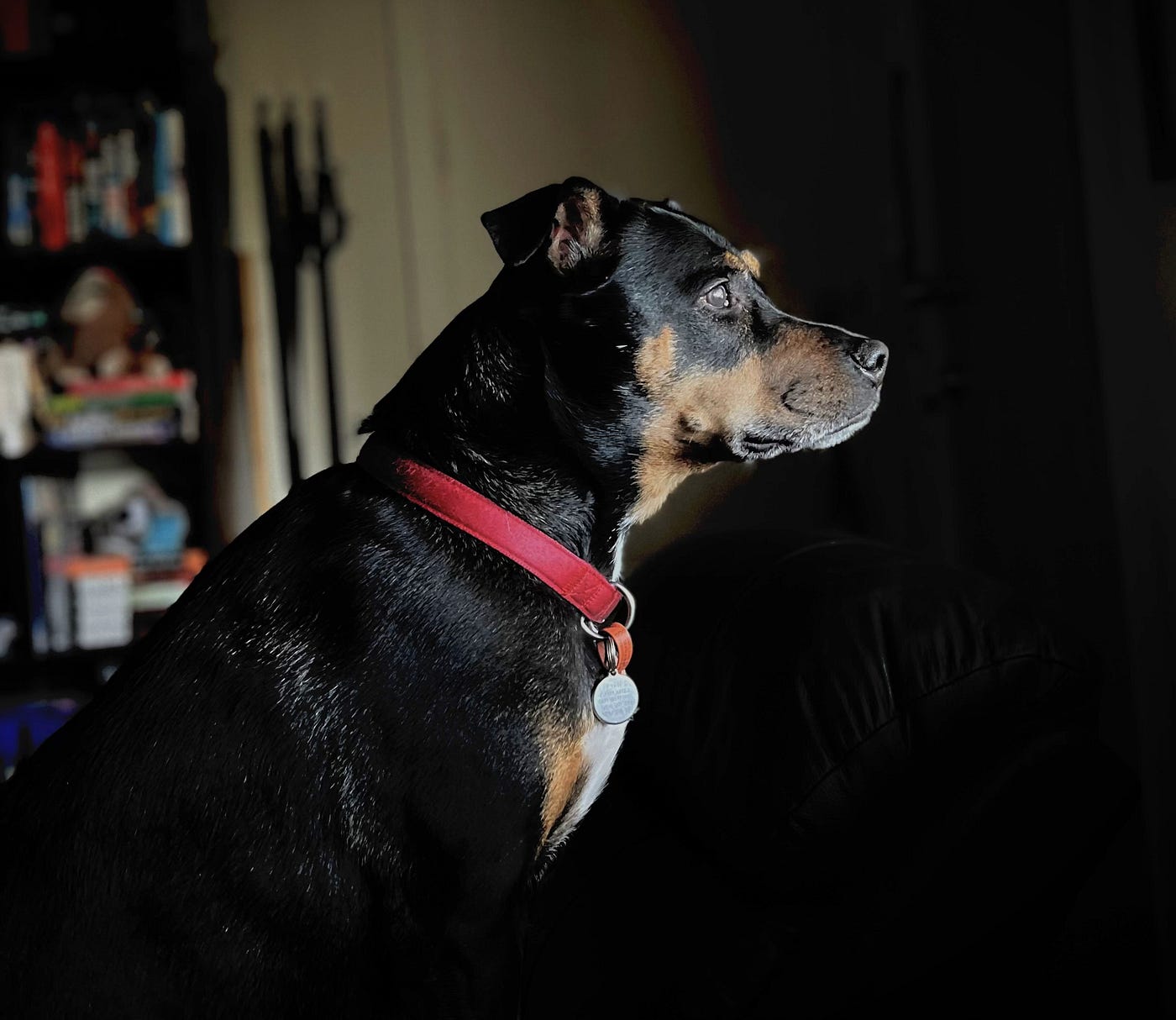 The Curse of Pancreatitis