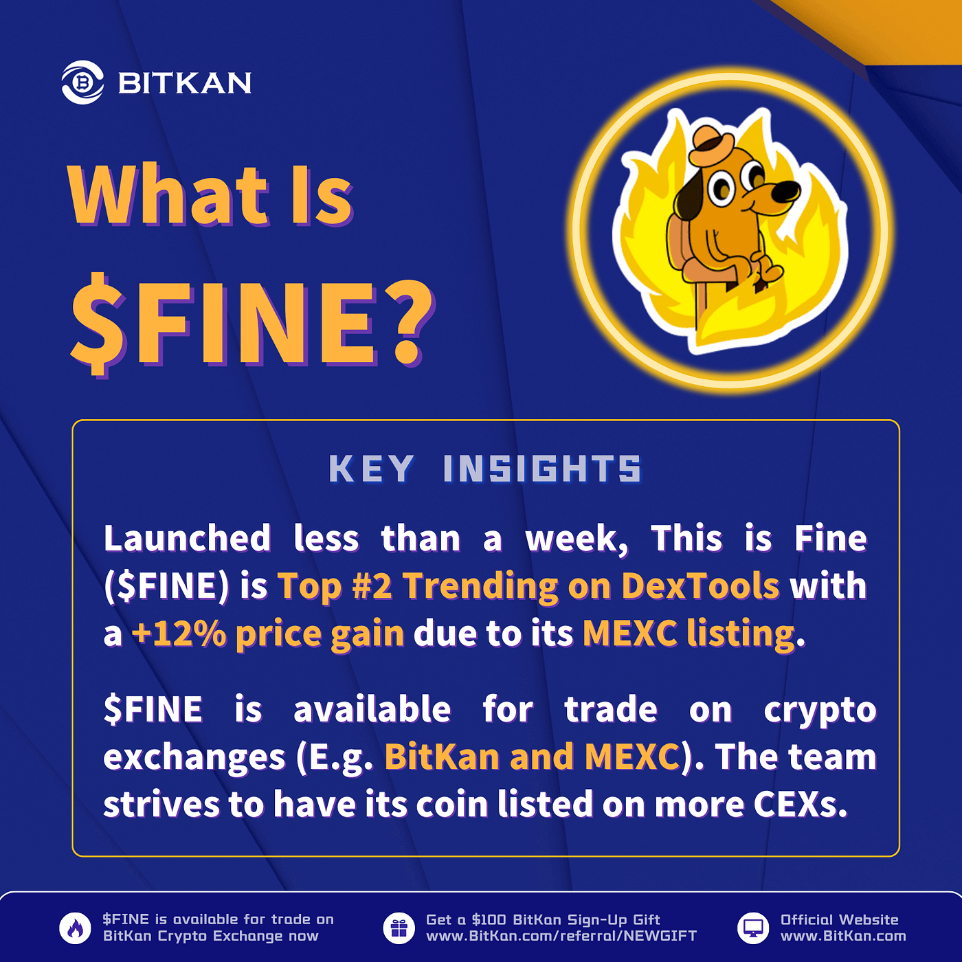 Why Is This Is Fine ($FINE) Trending and Why Might $FINE Increase In Price  — BitKan Insights | by BitKan | BitKan Hub | Medium
