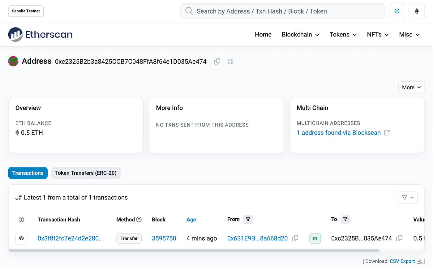 Connecting to the Ethereum Testnet using only web3.js and the console | by  Denis Avtsin | CoinsBench