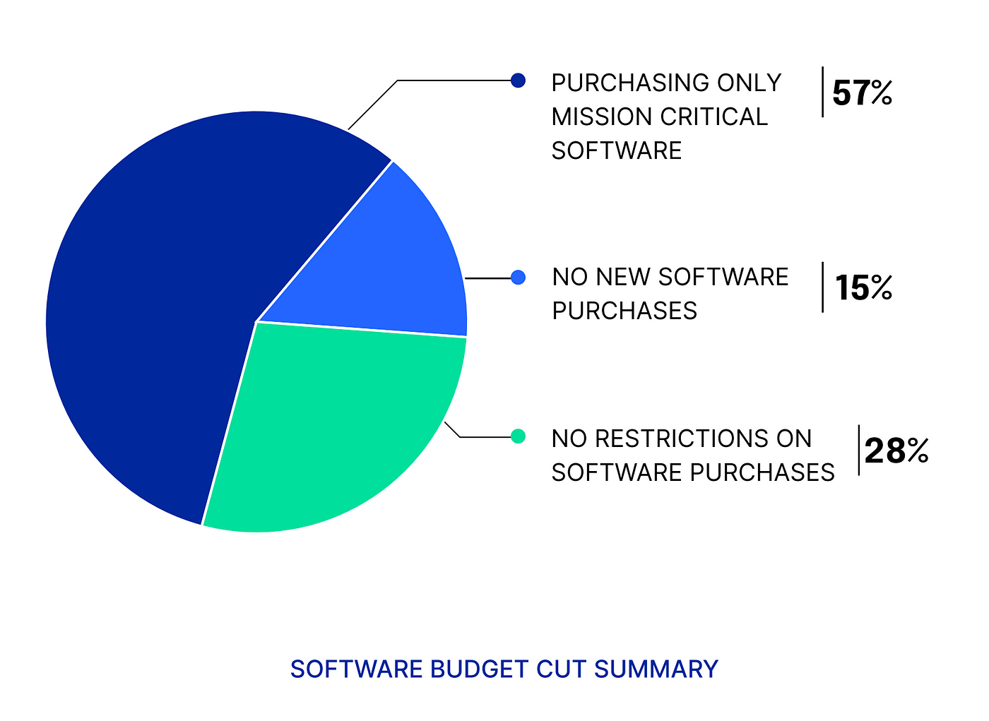 A pie chart with the following data: 57% purchasing only mission critical software. 15% making no new software purchases. 28% with no restrictions on software purchases.