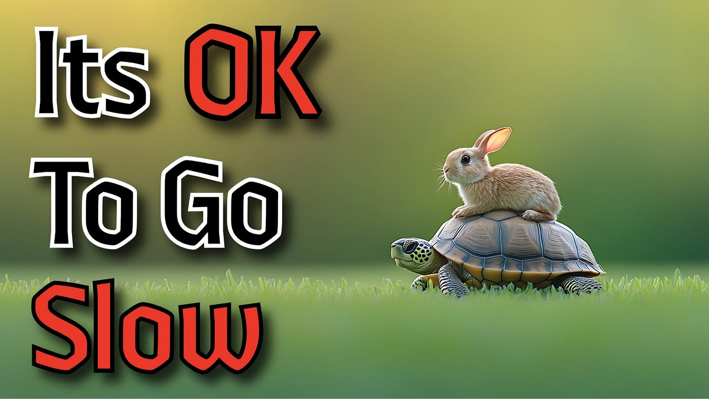 Are You The Tortoise Or The Hare? A Simple Reflection.