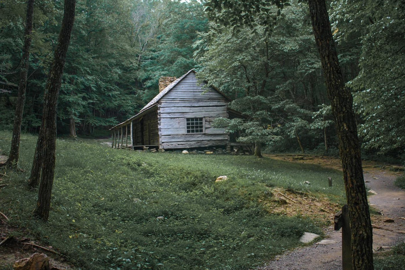Appalachian Nights