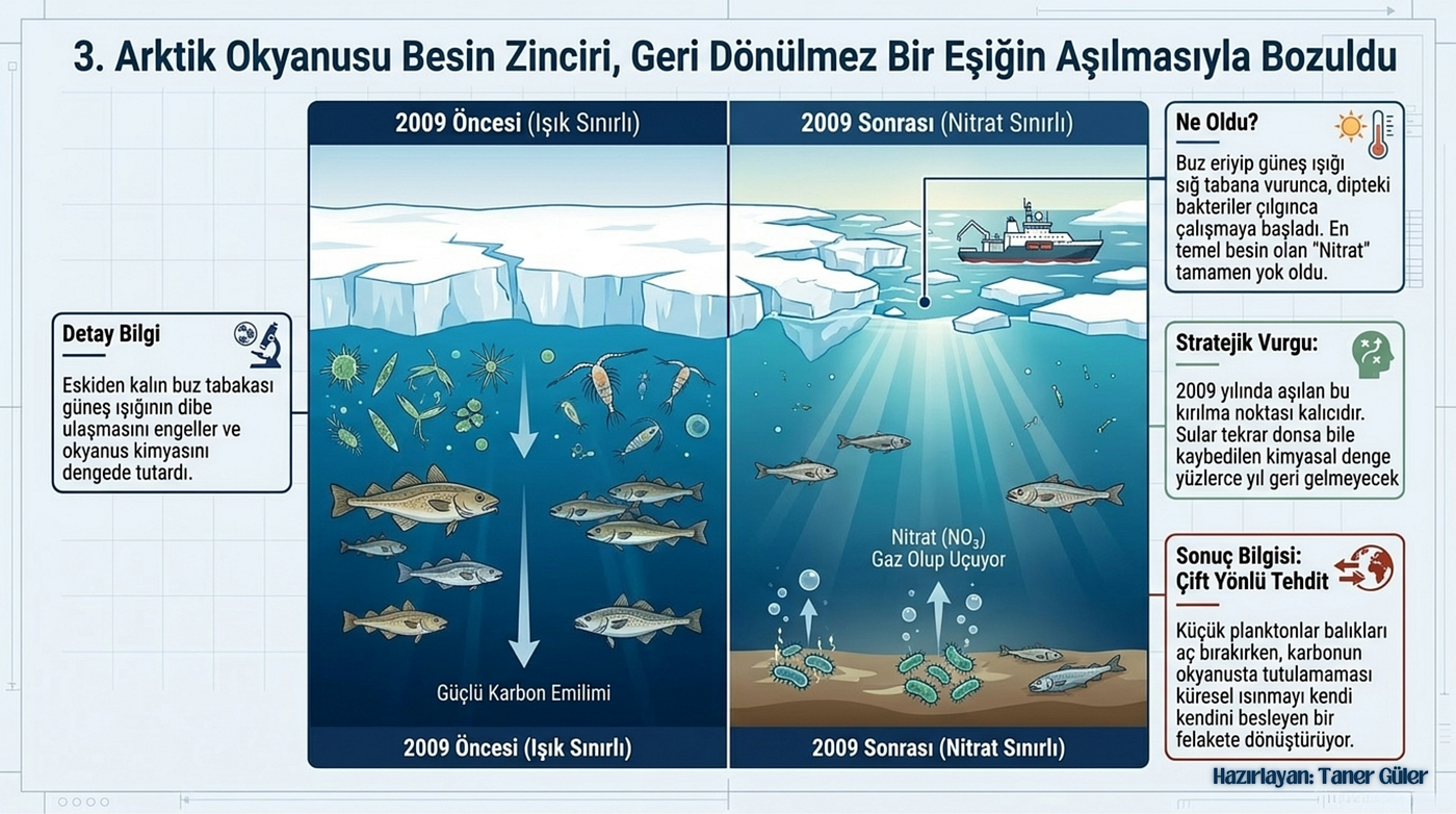 Arktik deniz buzunun azalması, bentik denitrifikasyon süreçlerinin yoğunlaşması neticesinde nitrat konsantrasyonlarında kalıcı bir düşüşe sebep olmuştur. Bu durum, Arktik Okyanusu’nun ekolojik dengesini, ışık sınırlı bir sistemden nitrat sınırlı bir sisteme dönüştürecek şekilde etkilemiştir. Bu değişim, fitoplankton büyümesini kısıtlayarak deniz besin zincirinin bozulmasına ve okyanusun karbon depolama kapasitesinin azalmasına yol açmaktadır. Sonuç olarak, bu durum Arktik deniz ekosistemi üzerinde geri dönüşü olmayan etkilere neden olabileceği gibi, potansiyel olarak küresel deniz ekosistemlerini de etkileyebilir. KAYNAK