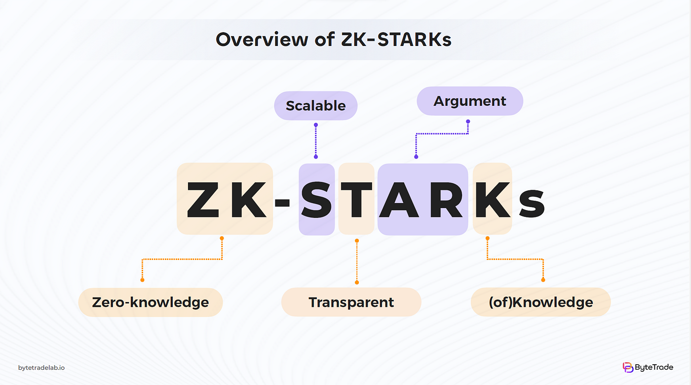 An Introduction to Zero Knowledge Proofs | by Bytetrade Lab | Medium