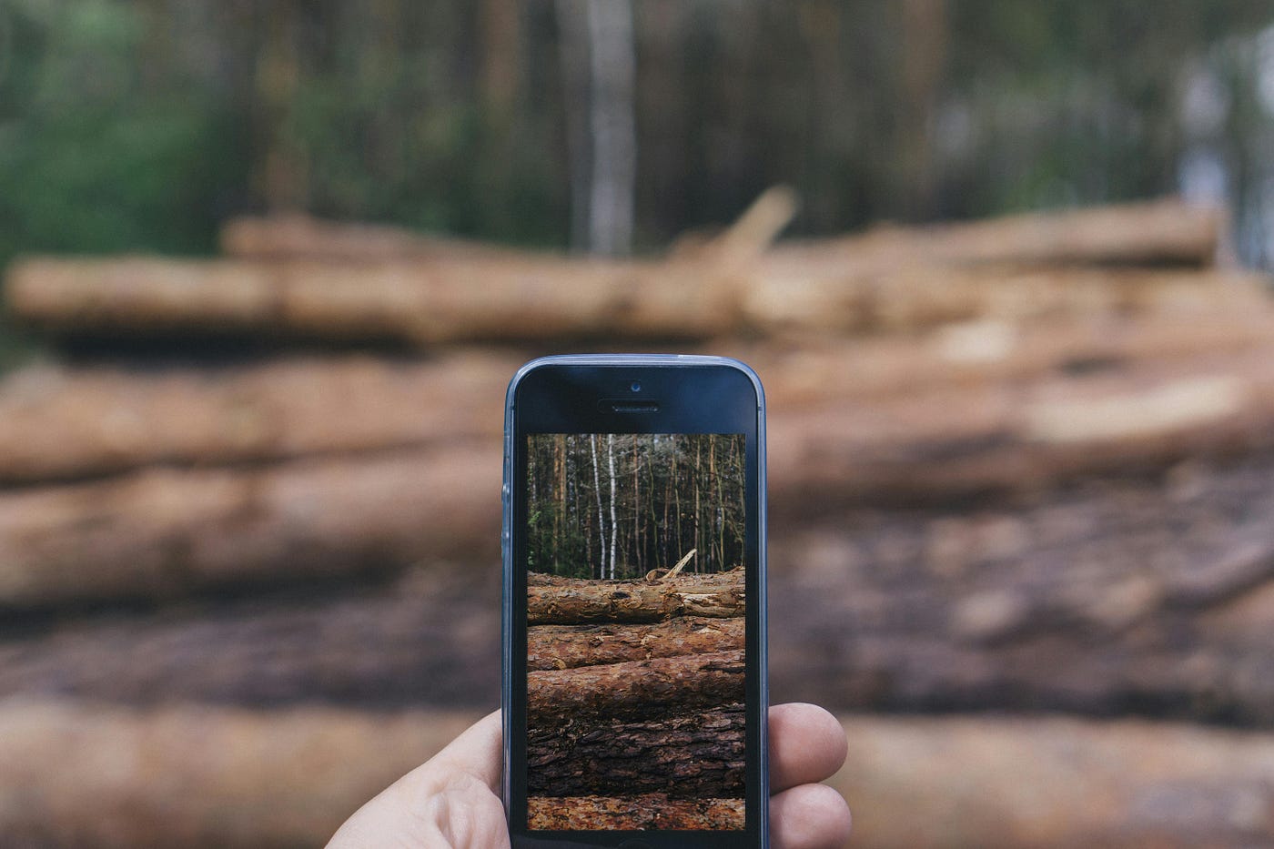 Rewinding the Story: Event Logging Explained for Beginners