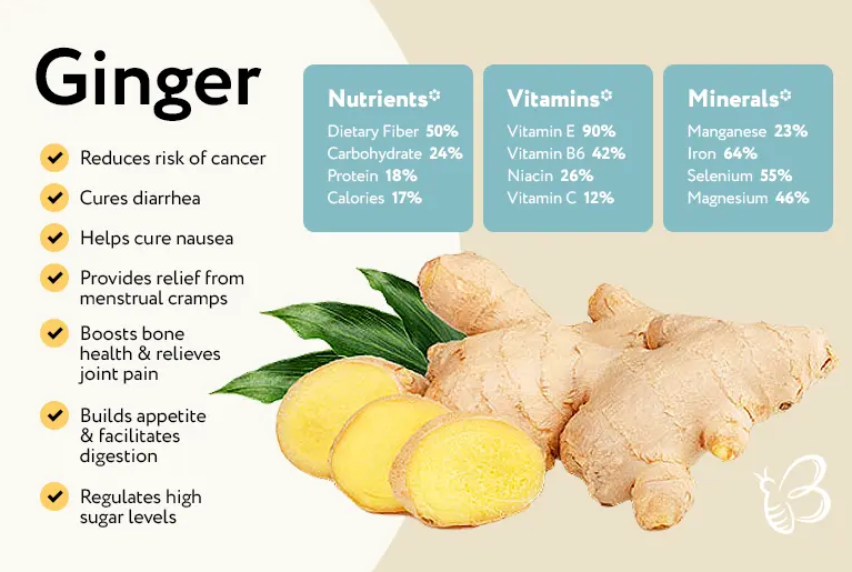 How to Store Ginger?. Here all the information can be found, by Elisa Chan