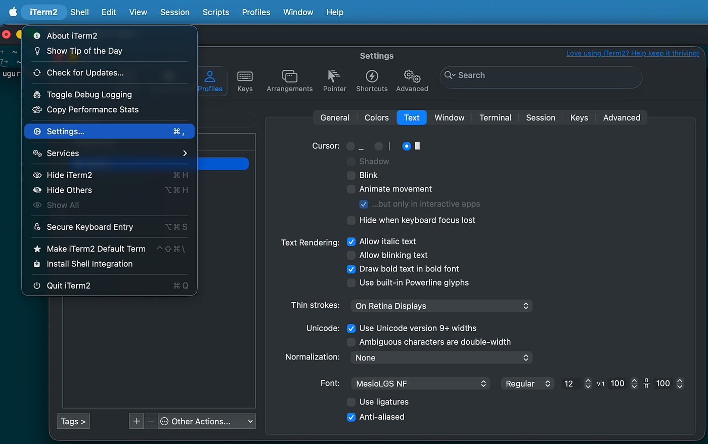 iTerm2 settings page