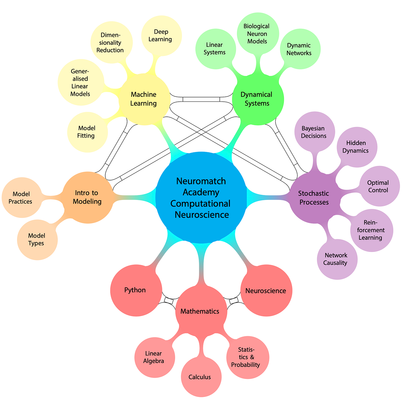 Everything to Know About Neuromatch Academy’s Computational