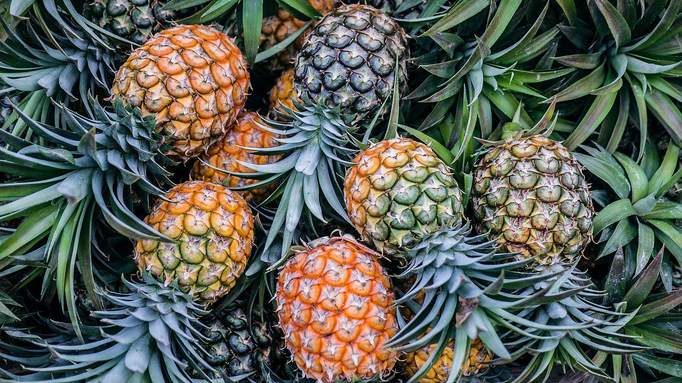 Pineapple, the food that eats you back, by Kevin L. Knights, Food-101