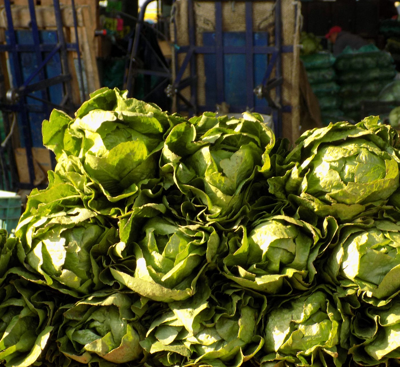 Alimento Para Todos, se parte del cambio.