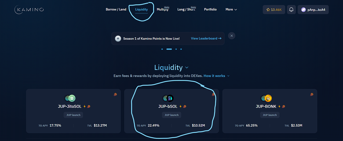 Liquid Staking on Solana. Introduction | by Obinna Balor Nwafor | Medium
