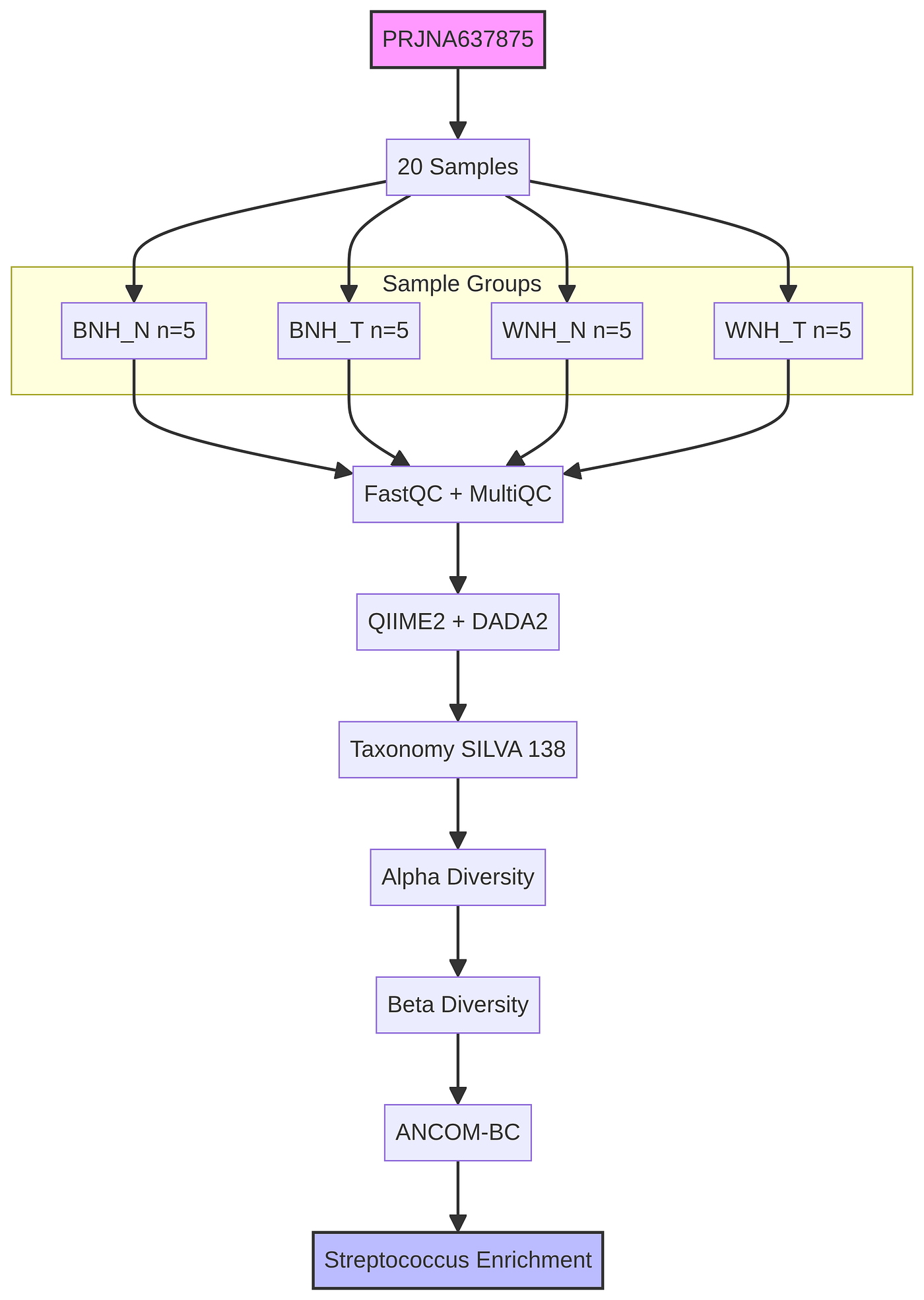 From Raw Reads to Microbial Insights: My Journey Analyzing the Breast Tissue Microbiome with QIIME2