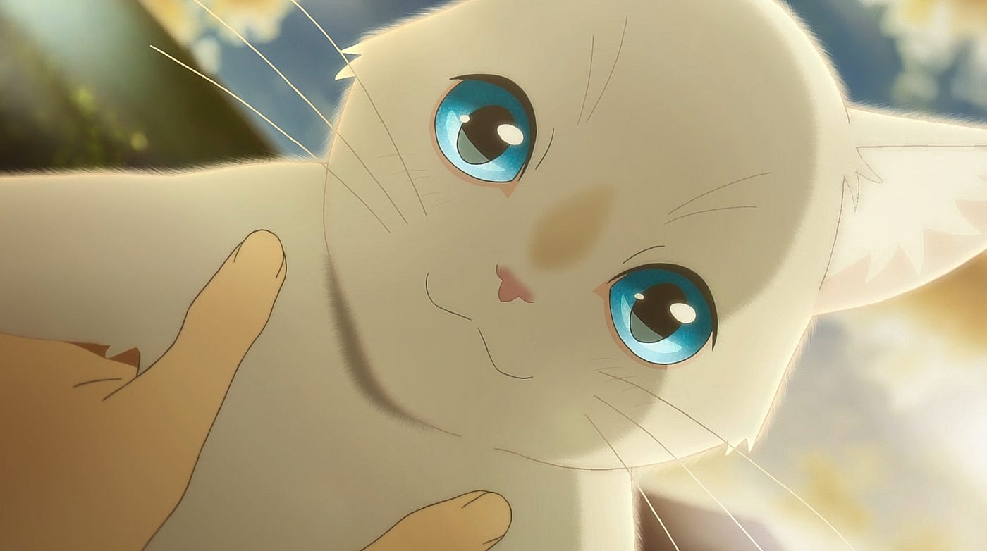 A WHISKER AWAY: A Perfect Ode To Summertime (And Cats) - Film Inquiry
