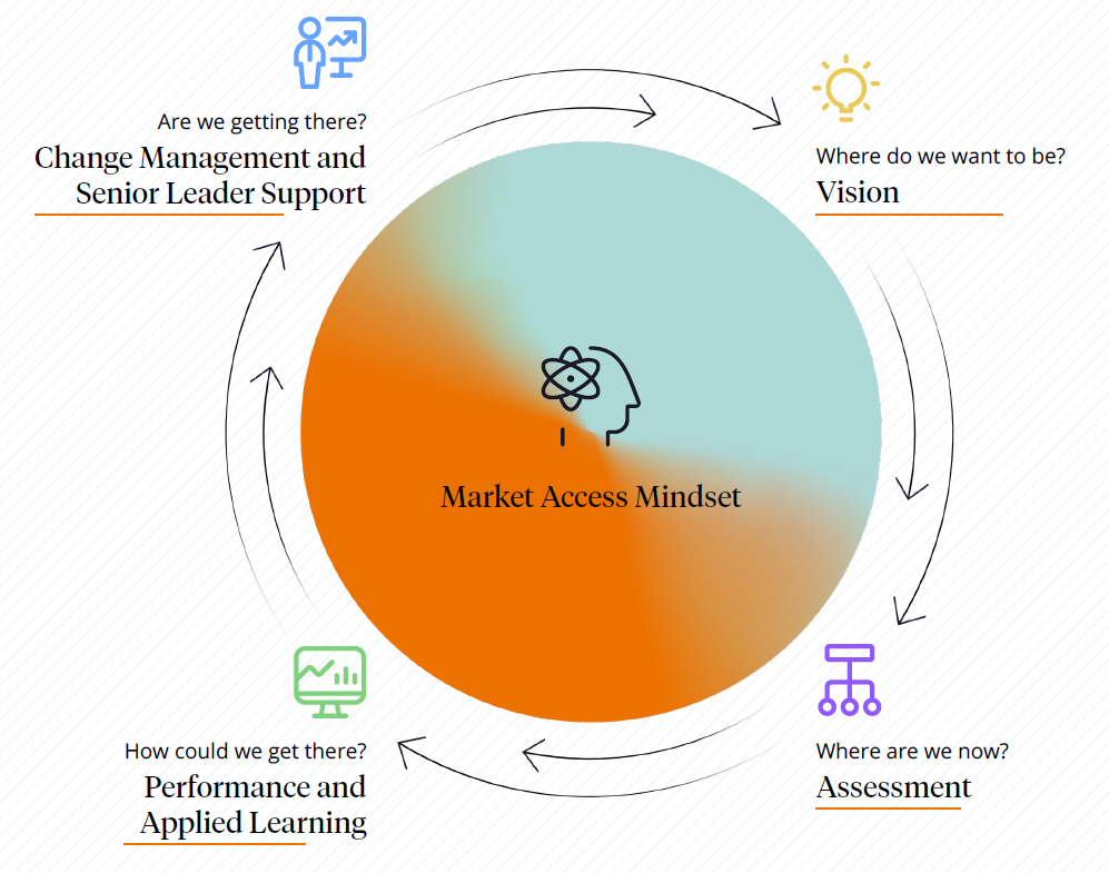 Establishing an organizational market access mindset | by
