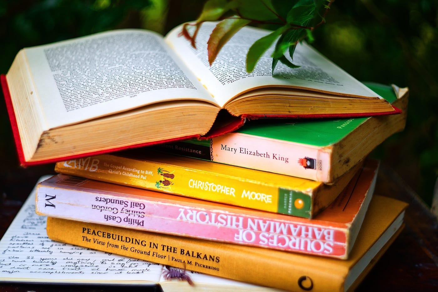 Top 3 History Books Everyone Should Read at Least Once