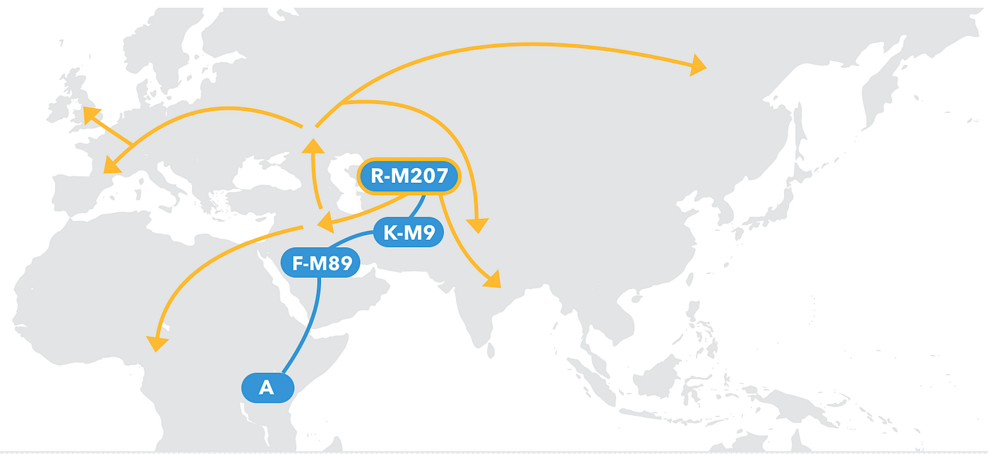 My own Y chromosome belongs to the haplogroup R which could be traced back to a man who likely lived in Central Asia between 30,000 and 35,000 years ago (credit: 23andme)