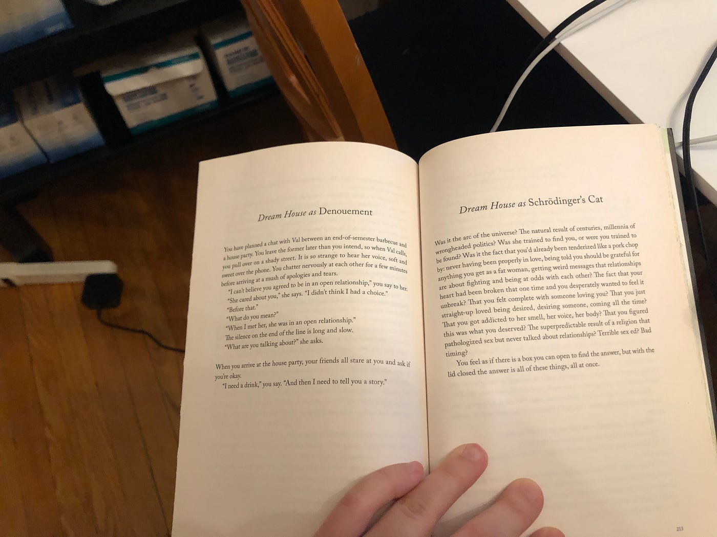 Visual reference for the headings from the book In The Dream House by Carmen Maria Machado.