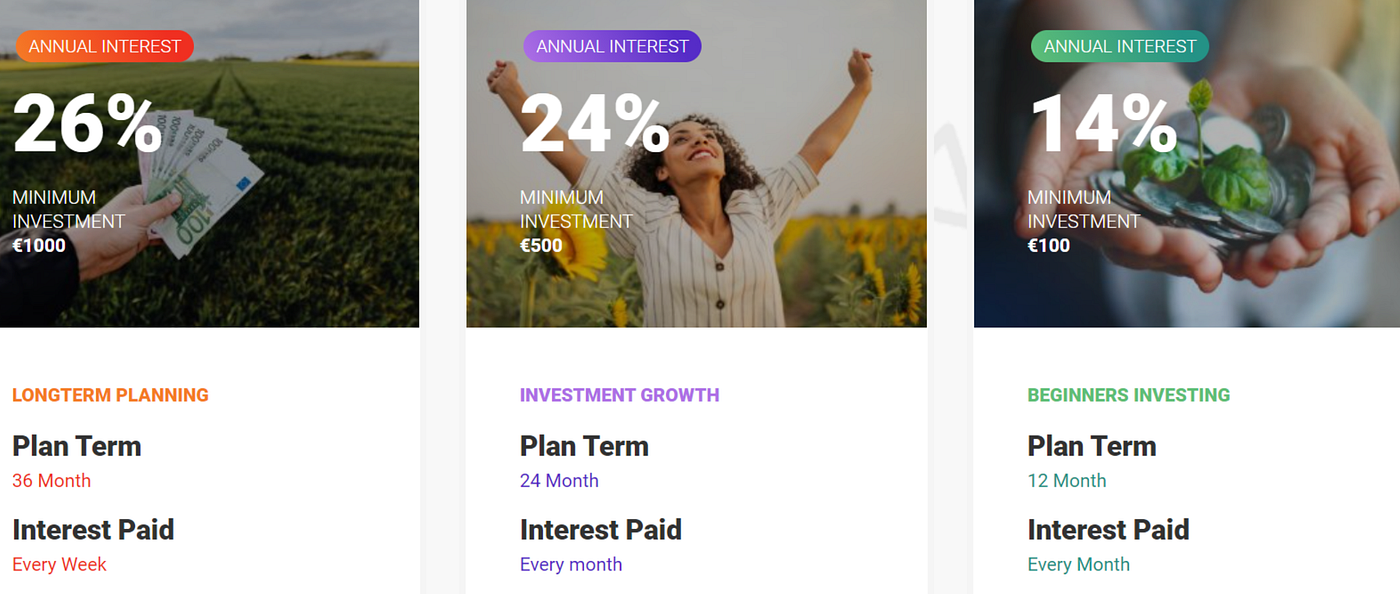 Can TFG Crowd beat the market? The returns from their investment plans looked much better than the average annual return for S&P 500.