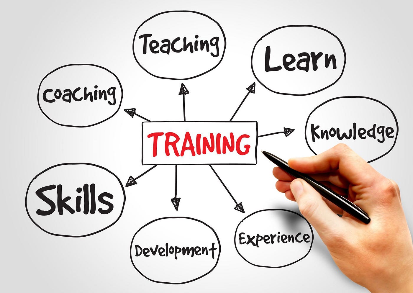 Q. What is the affect of instructor preparing on understudy learning? | by  Sahilawan | Medium
