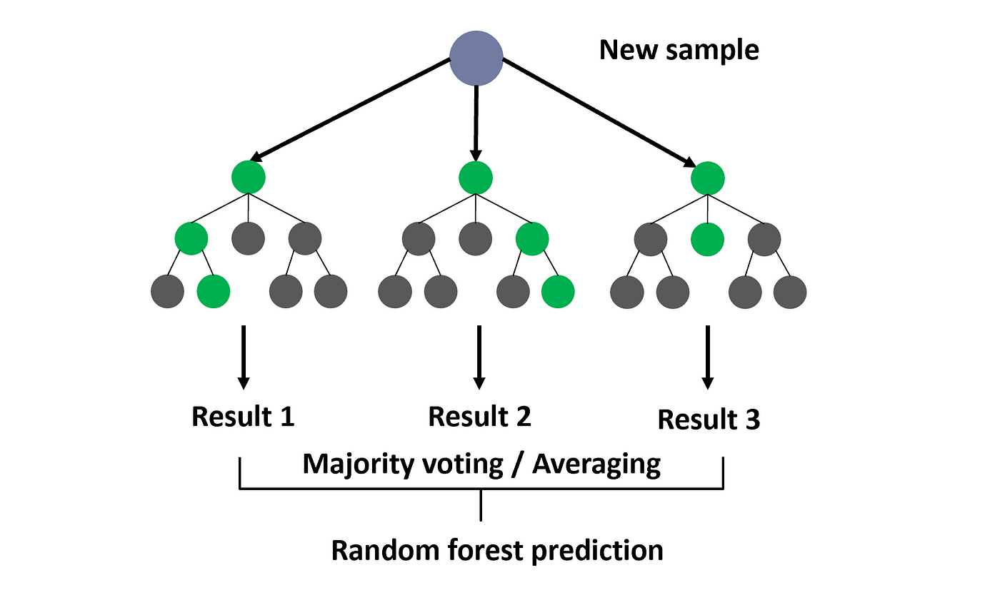 Random Forests. Random forests is a powerful machine… | by Dr. Roi Yehoshua  | Medium