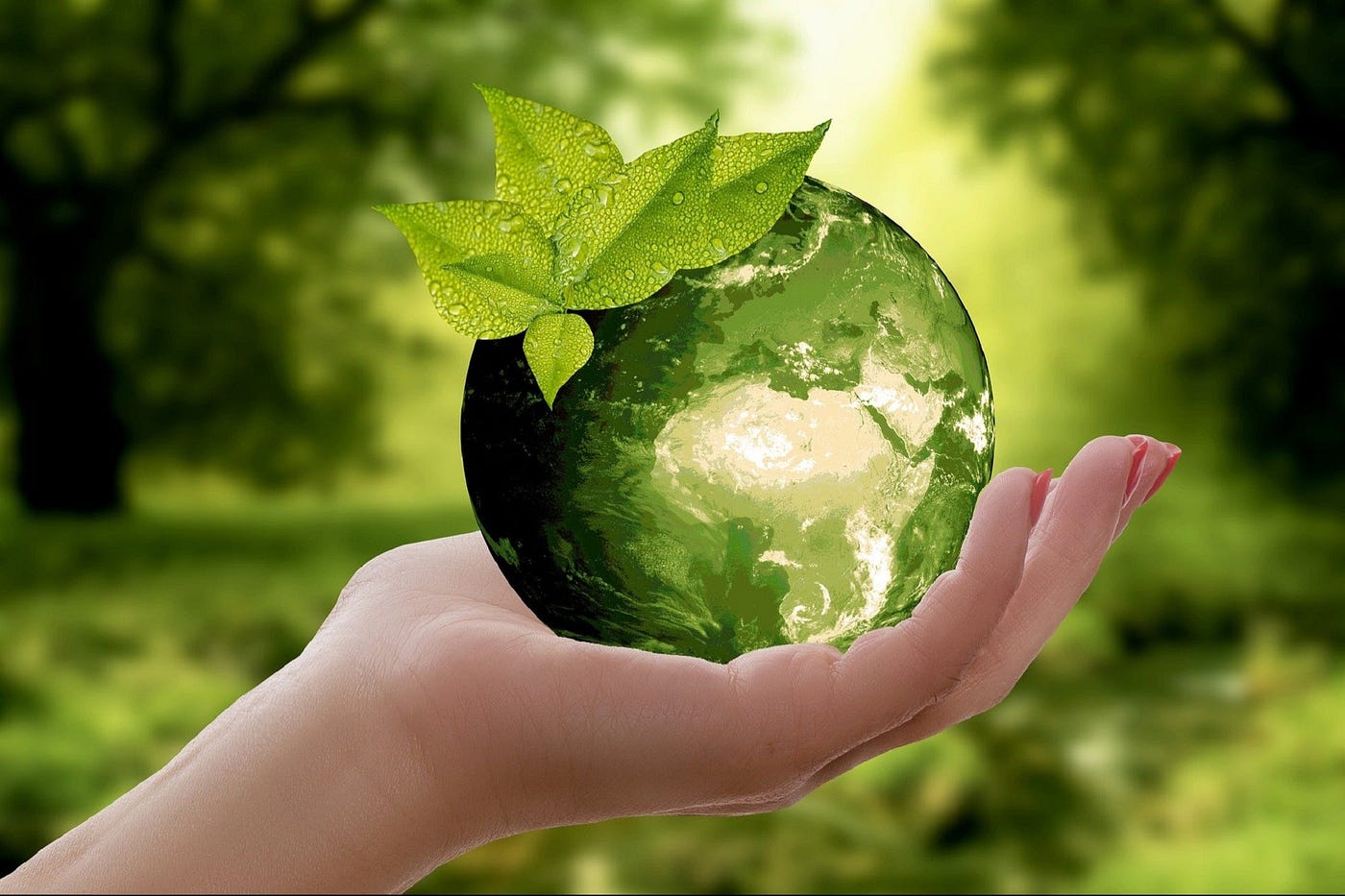 Eco-Conscious Trends in Startup Culture for 2024