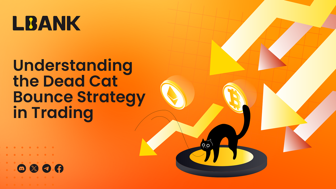 Understanding the Dead Cat Bounce Strategy in Trading | by LBank Exchange |  Medium