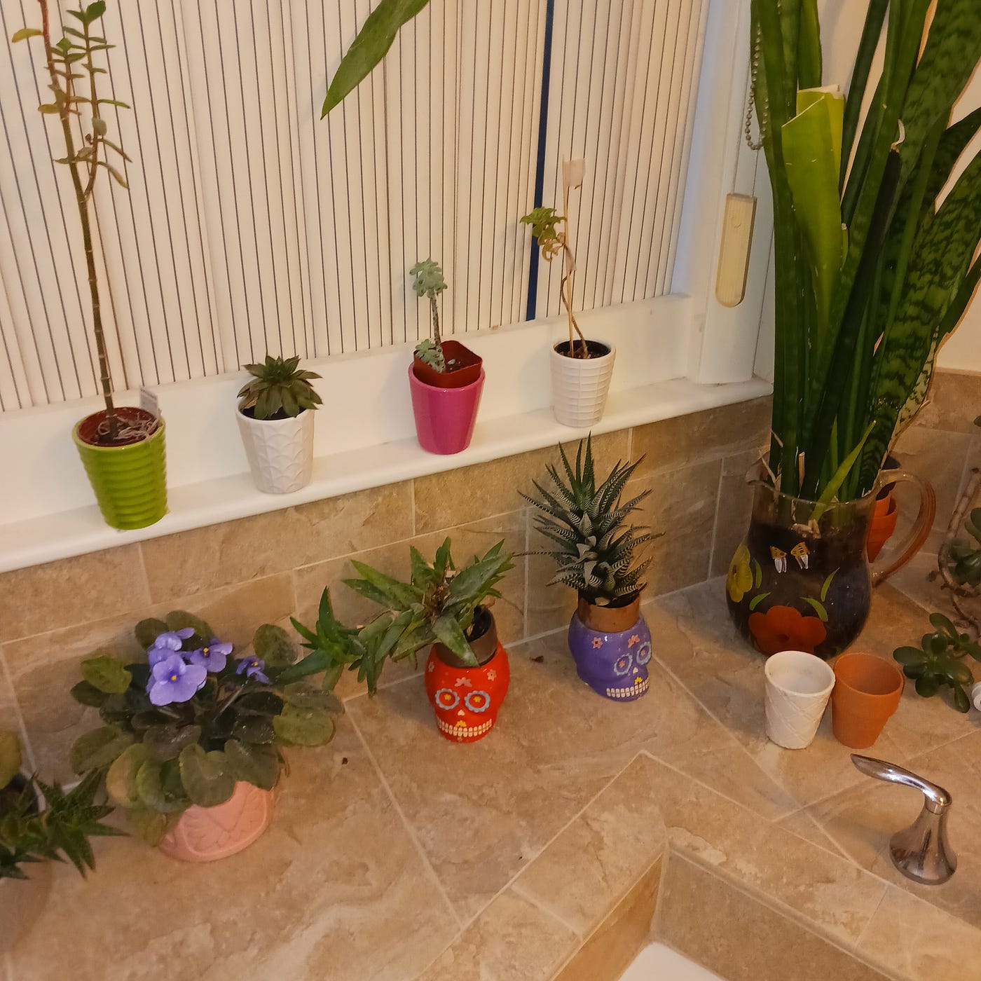 Do Plants Speak to Each Other?. According to scientists, they do
