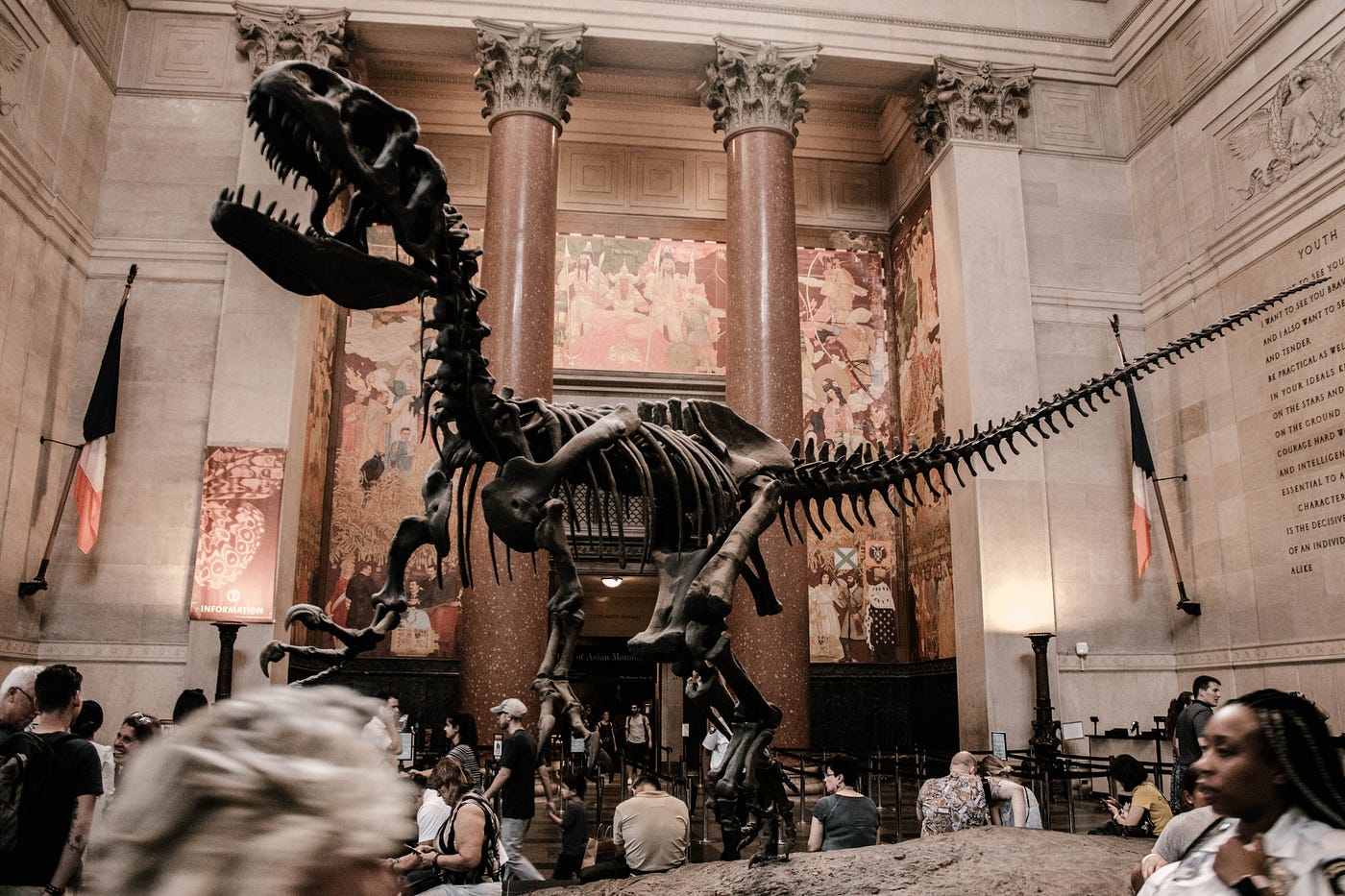 American Museum of Natural History: The 5 Halls - Carltonaut's Travel Tips