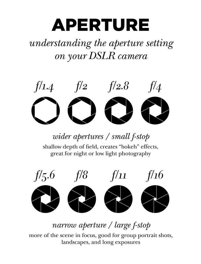 A beginner's guide to aperture. What's the difference between f/1.4 and… |  by Monica Galvan | UX Collective