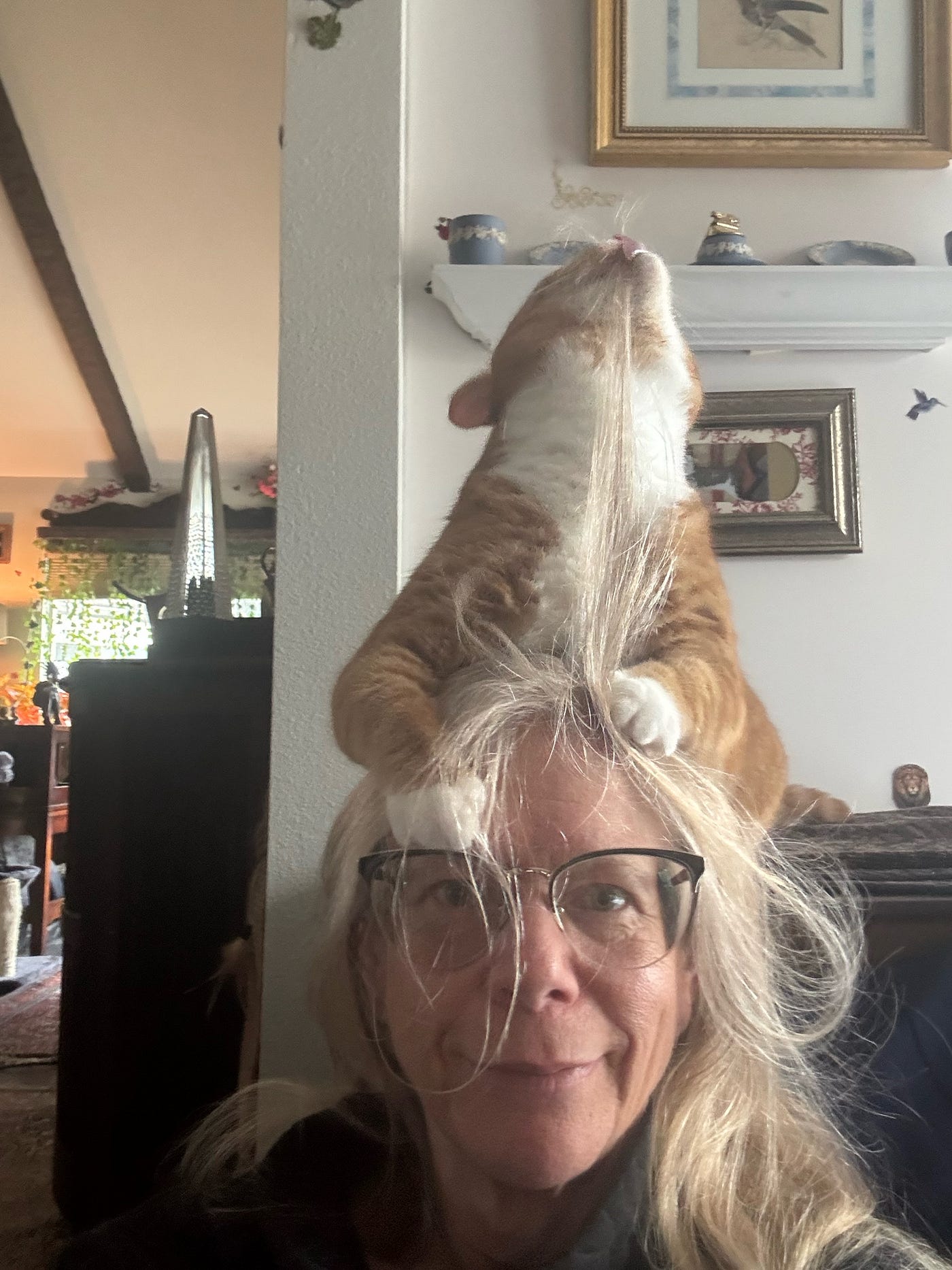 Bert pretends he’s a hat, but his prior owner had him declawed and he’s not quite right in the head as a result. That makes us a perfect pair ;) (Author’s Photo)