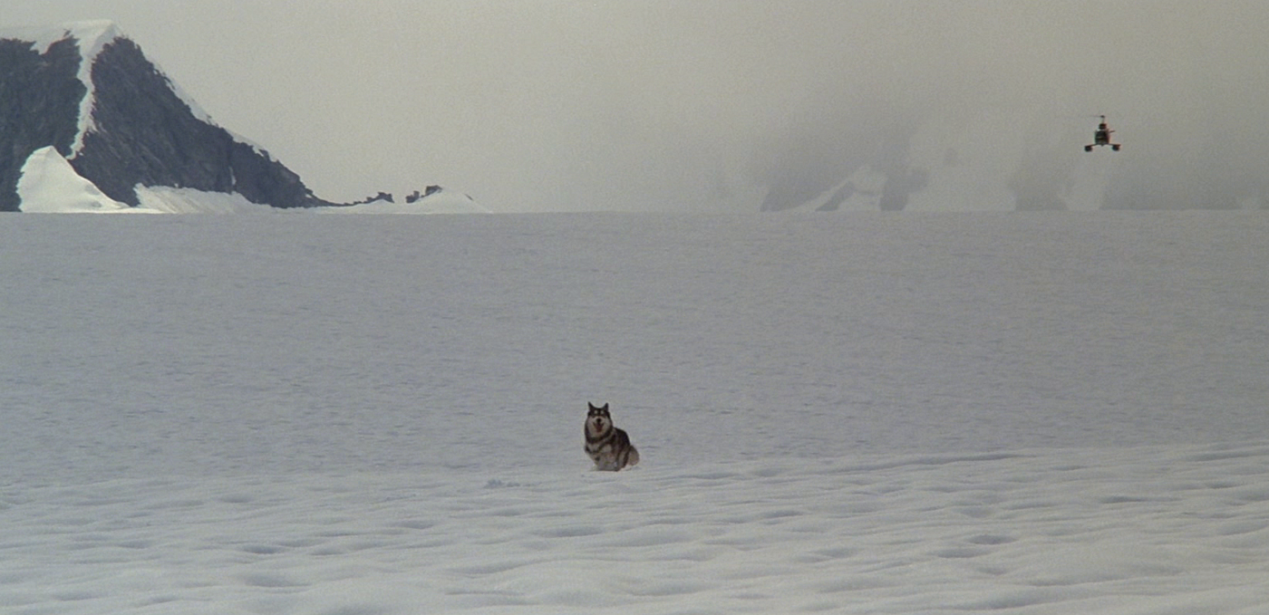 John Carpenter's Sci-Fi Horror Film 'The Thing' Was Ahead Of Its Time