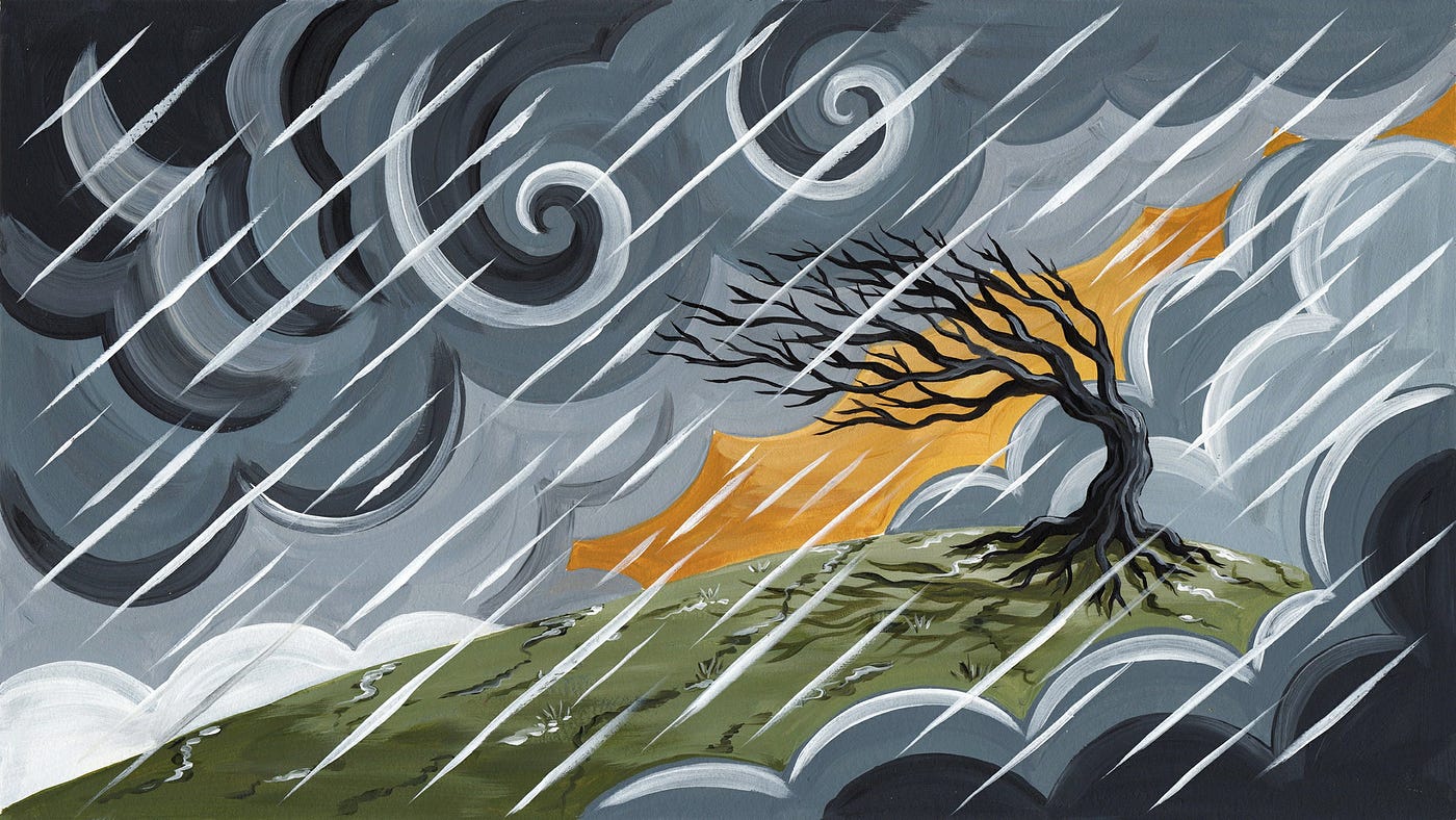 July 4th Wordsmiths’ Weekly Brought a Typhoon