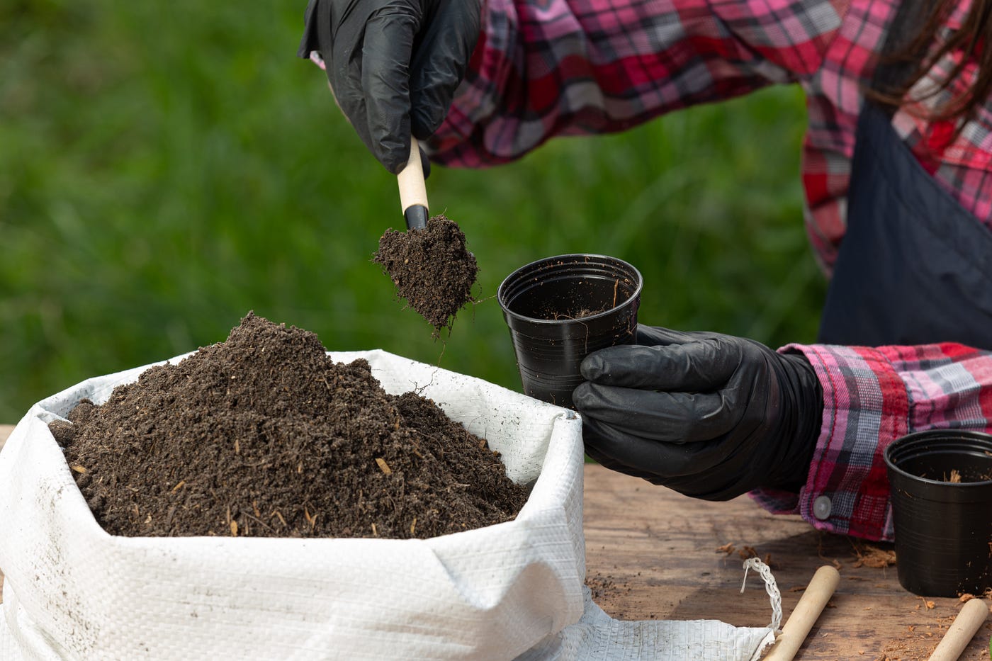 How to make ORGANIC UREA FERTILIZER AT HOME
