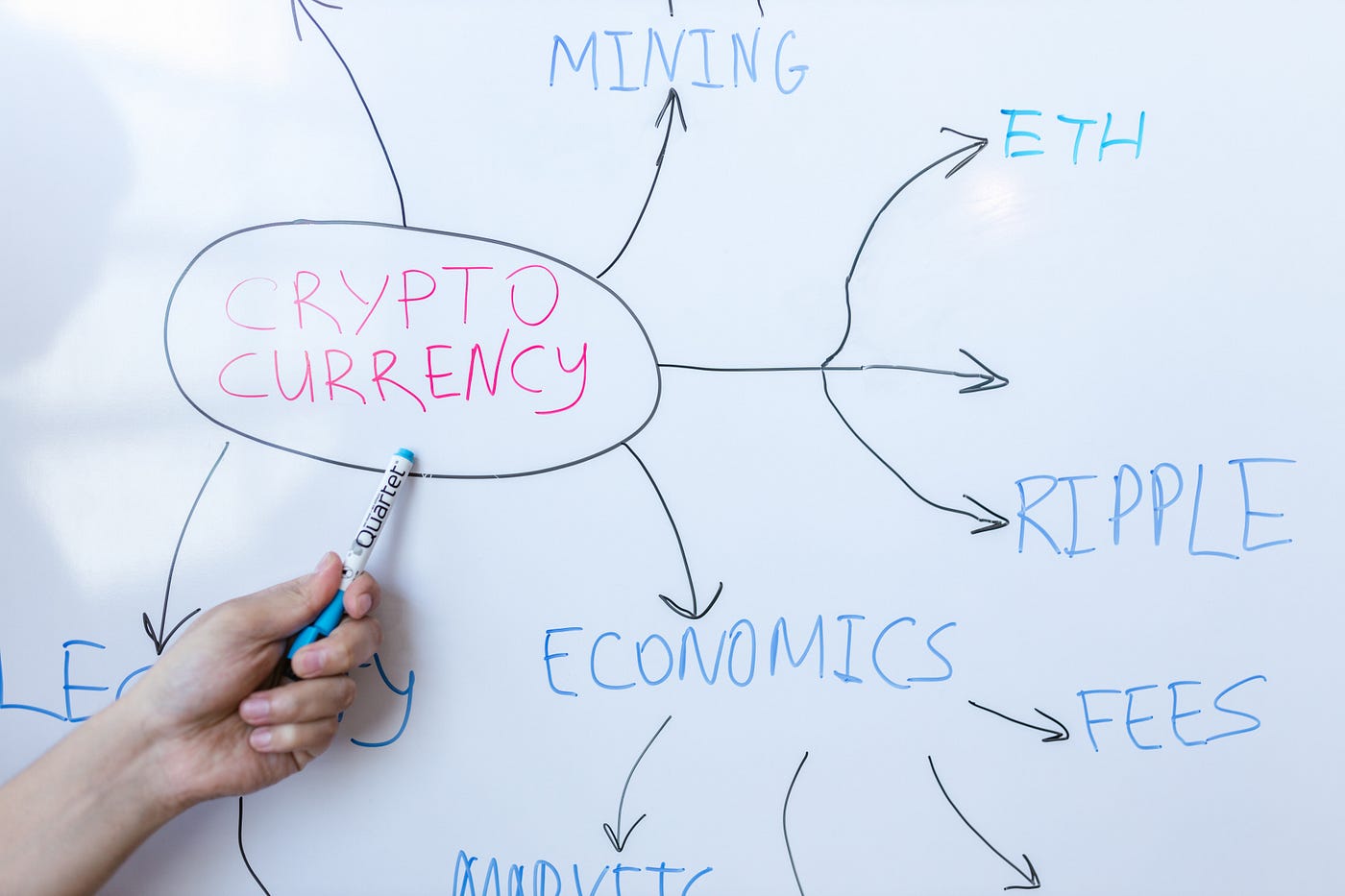 Top Penny Stocks to Buy in 2023. The Top Picks for the Next Year | by Opal  A Roszell | Mobile App Circular