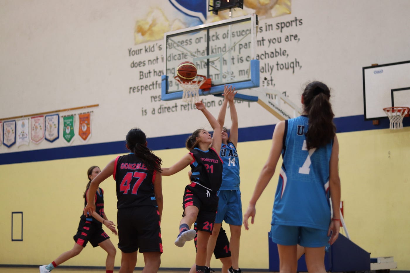 New National Report Sheds Light on Girls' Sports Participation