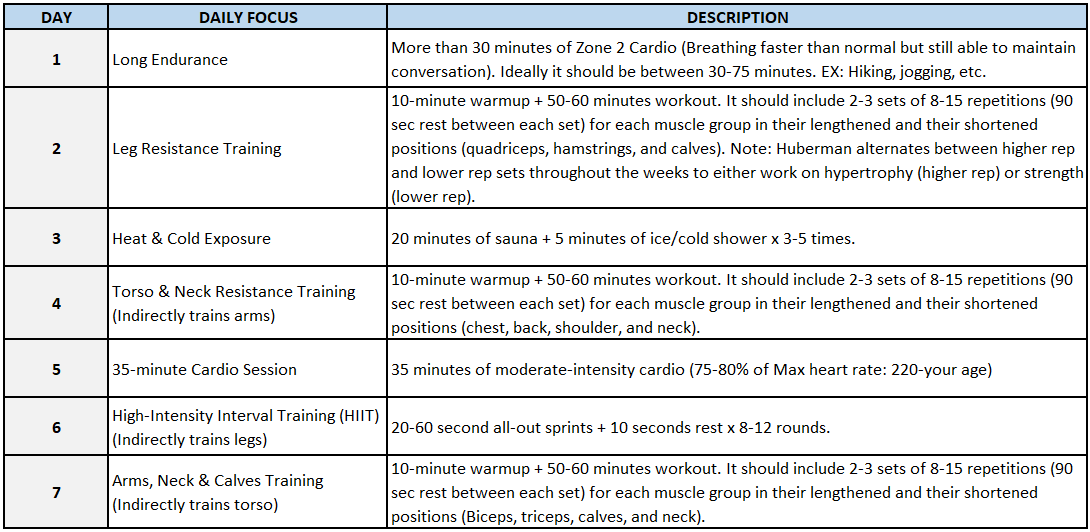 Andrew Huberman Workout Routine: Boost Strength and Focus Fast