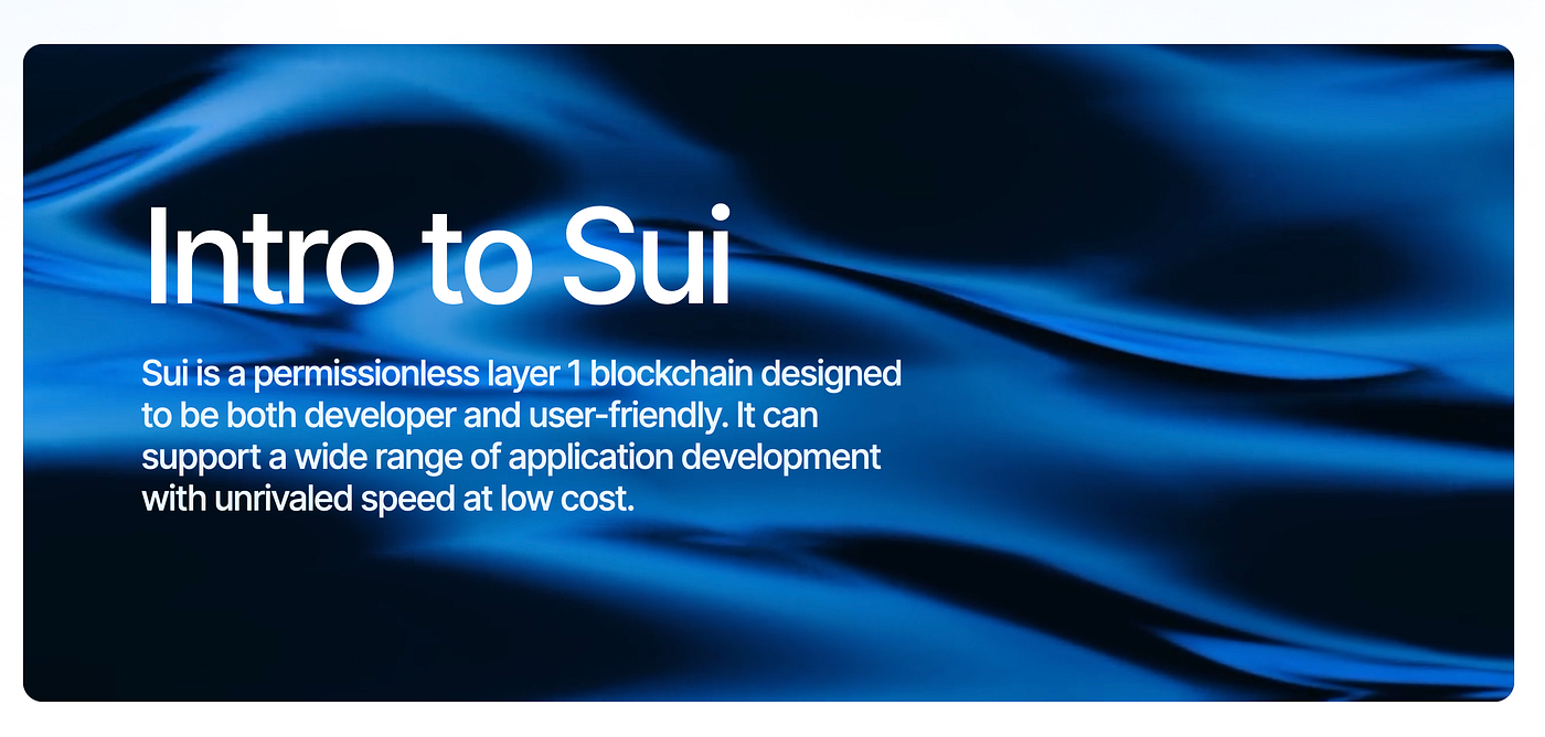 What is $SUI Sui Network? Can it beat Ethereum or Solana? | by  Cryptowrit3r.x | Coinmonks | Medium