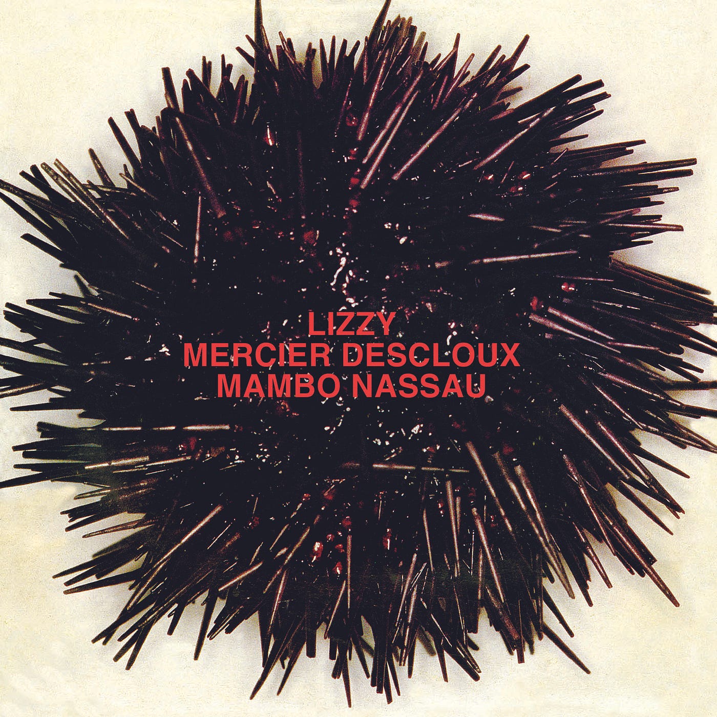 Lizzy Mercier Descloux: An Uncompromising French Bohemian Finally
