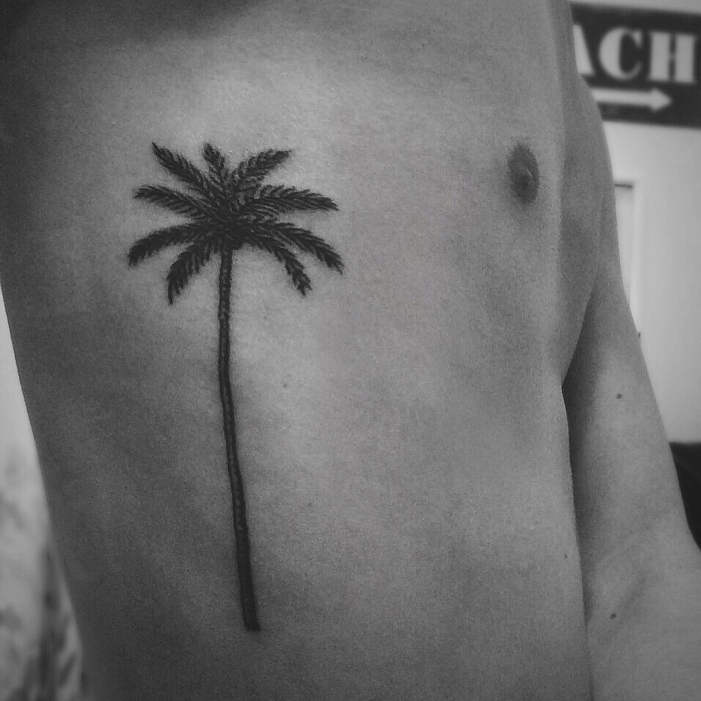 Miami Tattoo Co  Tattoo by Steven PM   Color Palm Tree    Available Appointments  miamitattooco stevenpm3 palmtree miami  miamibeach tattoo ink StevenPM  Facebook