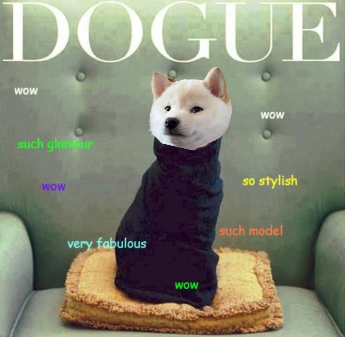 What is DOGE and Why The Obsession? | Excited Delirium