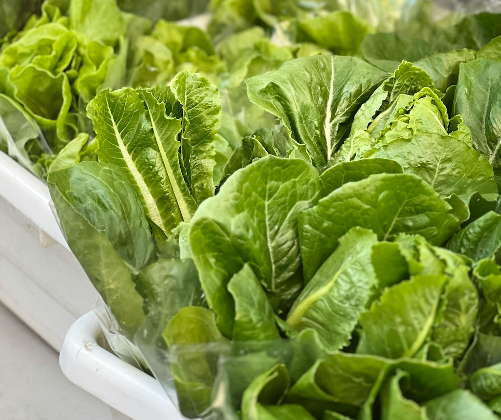 I made the Alice Waters salad from Meghan Markle's Netflix show | by  Elizabeth Rust | The recipe swap | Medium