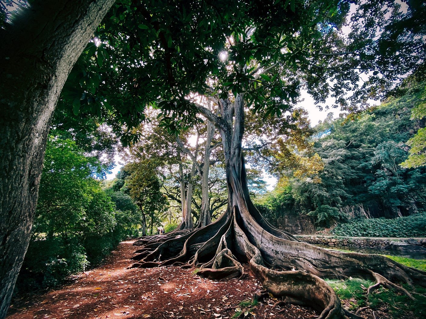Sustainable Project Network — Our first Quest
