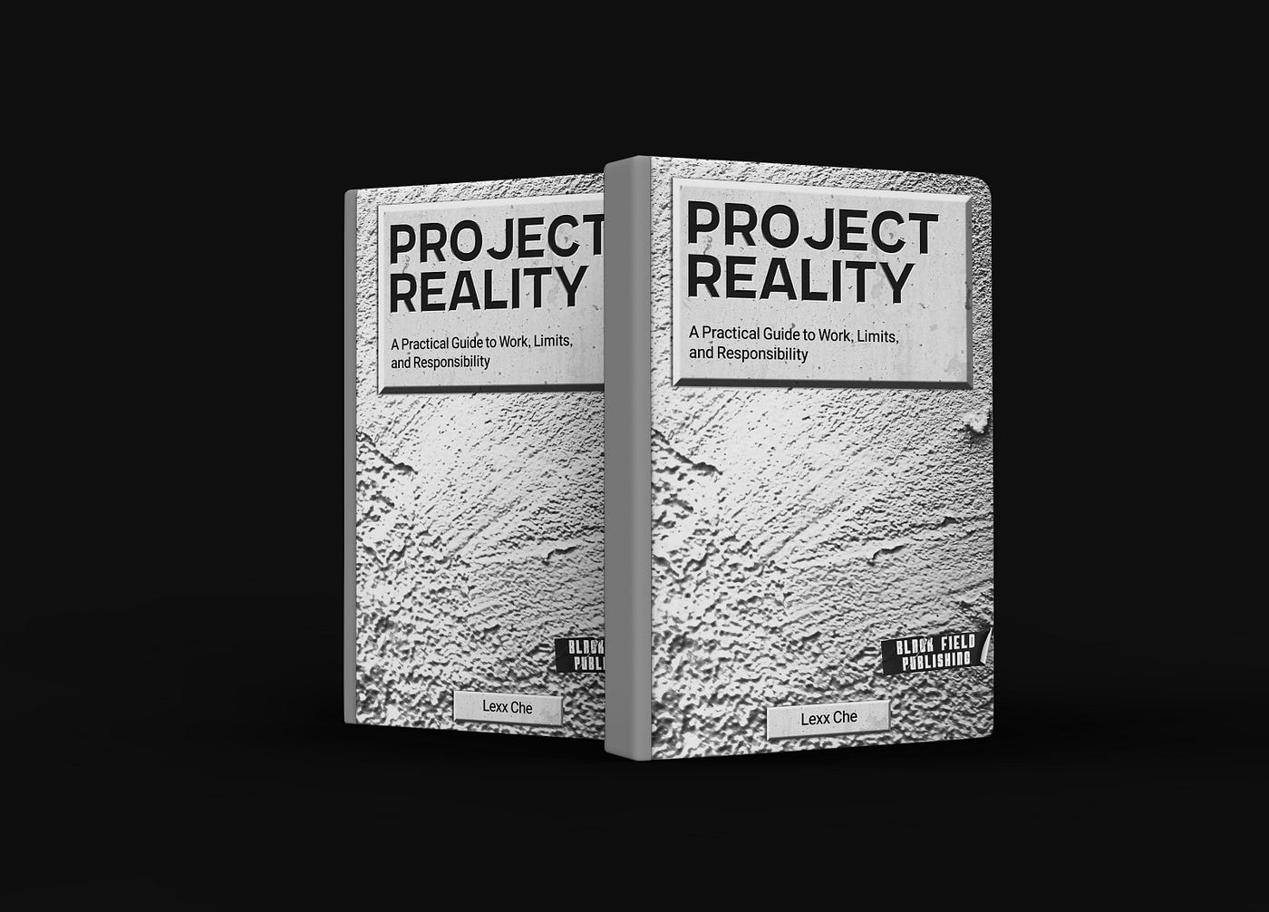 Project Reality: A Practical Guide to Work, Limits, and Responsibility