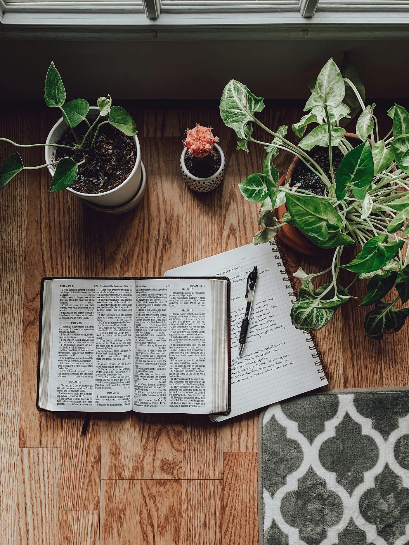 Don’t Read Your Bible Like Satan