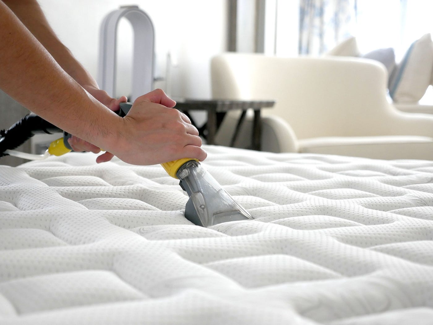 Why You Need a Bed Bug Mattress Cover