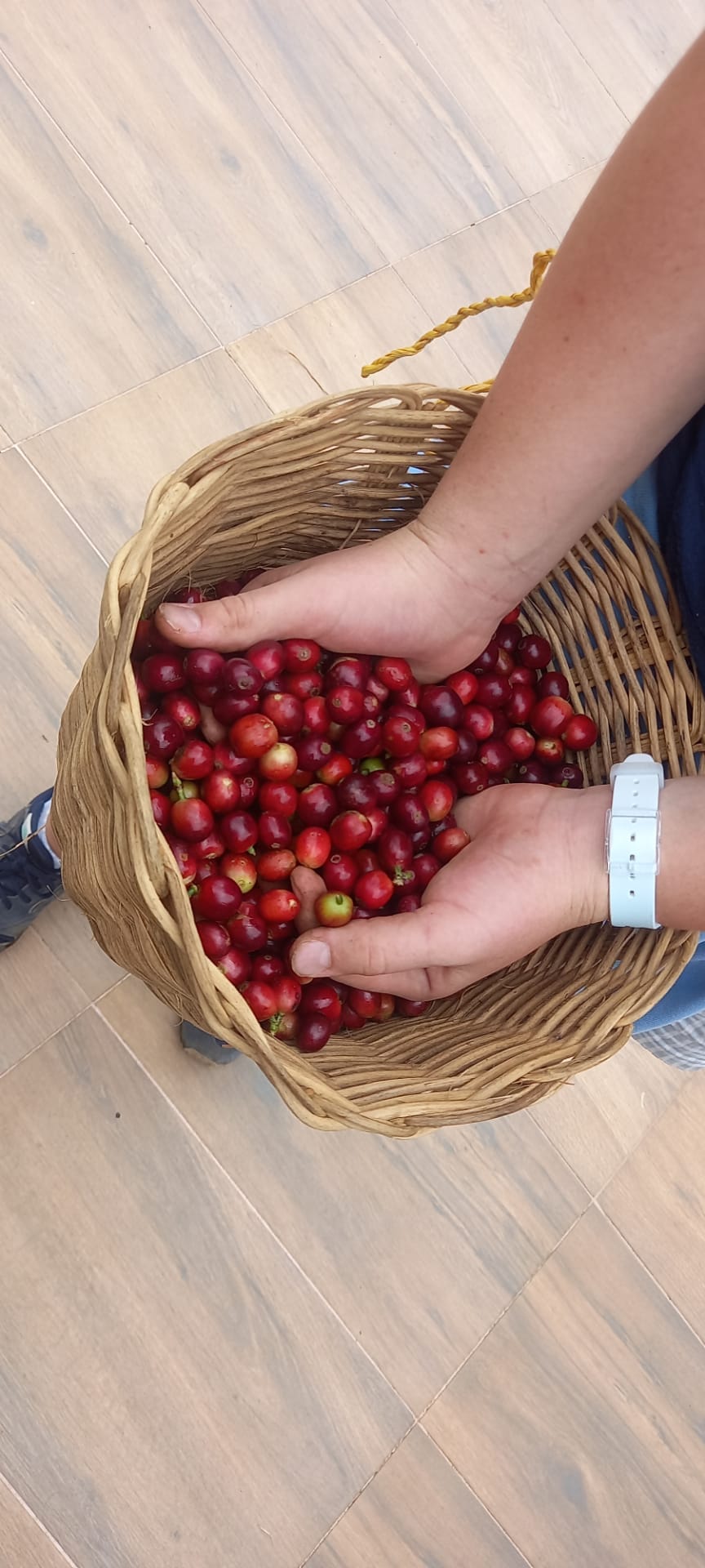 Un panier de grains de café